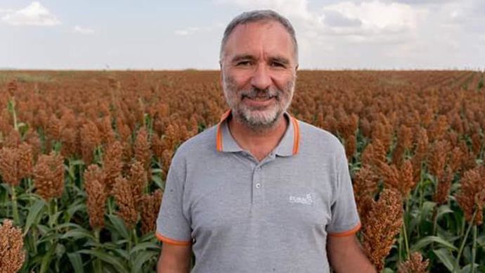 Pour Frédéric Guedj, responsable du développement du marché du sorgho chez Lidea, cette céréale très ancienne offre de nombreuses qualités, qui en font une bonne alternative face au changement climatique. © LIDEA